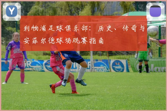 利物浦足球俱乐部:历史、传奇与安菲尔德球场观赛指南